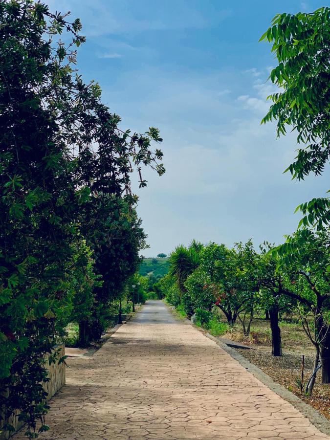 Il Giardino Delle Zagare Villa Calatabiano Ngoại thất bức ảnh